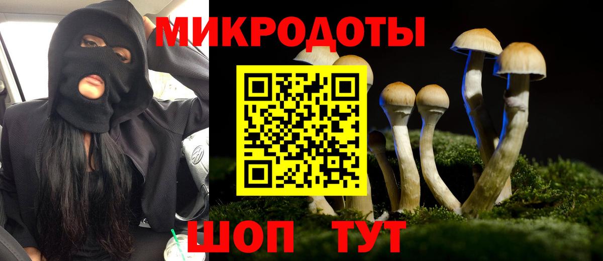 Псилоцибиновые грибы Magic Shrooms Томск