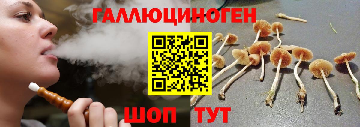 Псилоцибиновые грибы MAGIC MUSHROOMS  Вход с VPN  Томск 